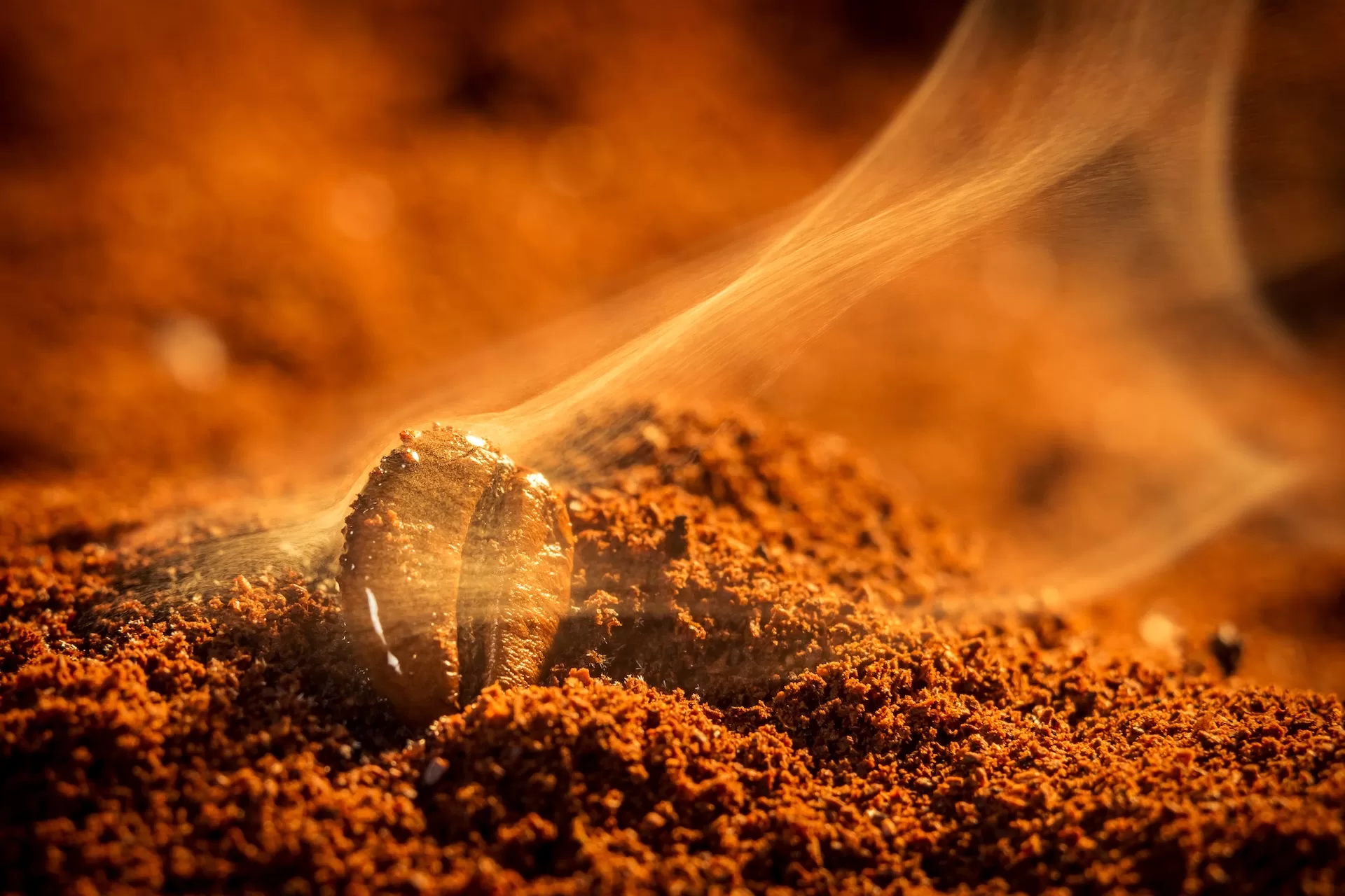 Closeup of coffee seeds roasting Closeup of coffee seeds roasting
